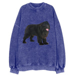 Newfoundland Vintage Sweatshirt