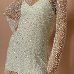 Long Sleeves Shinny Pearls Sequin Beaded Mesh Dress