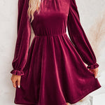 Turtleneck Long Sleeve Velvet Mini Dress