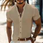 Men's Summer Basic Stand Collar Textured Short Sleeve Shirt