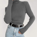 Long Sleeves Skinny Solid Color High Neck Pullovers Sweater Sweater Tops