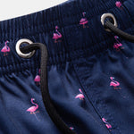 Regular Fit Flamingo Print Cotton T-Shirt & Flamingo Print Drawstring Swim Shorts