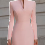 Elegant Pink Sculpted Dress