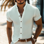 Men's Summer Basic Stand Collar Textured Short Sleeve Shirt
