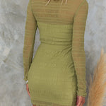 Long Sleeves Ruched Sheer Bodycon Mini Dress