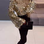 Long Bell Sleeves Metallic Sequin Crop Top