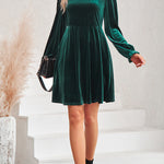 Turtleneck Long Sleeve Velvet Mini Dress