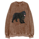 Newfoundland Vintage Sweatshirt