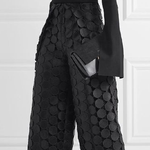 High Waisted Wide Leg Hollow Polka Dot Solid Color Pants Trousers