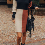 Winter Latte Knit Color Block Mock Neckline Sweater Mini Dress