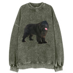 Newfoundland Vintage Sweatshirt