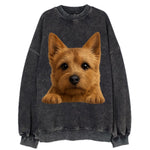Norwich Terrier  - Vintage Sweatshirt