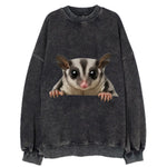 Sugar Glider  - Vintage Sweatshirt