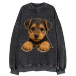 Airedale Terrier  - Vintage Sweatshirt