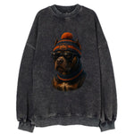 Chicago Pitbull wearing Bears beanie with skyline patch and wayfarer sunglasses - Vintage Sweatshirt