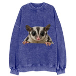 Sugar Glider  - Vintage Sweatshirt