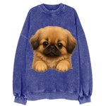 Pekingese  - Vintage Sweatshirt