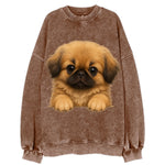 Pekingese  - Vintage Sweatshirt