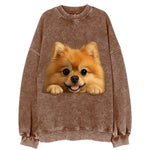 Pomeranian  - Vintage Sweatshirt