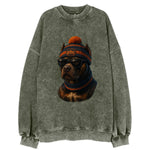 Chicago Pitbull wearing Bears beanie with skyline patch and wayfarer sunglasses - Vintage Sweatshirt