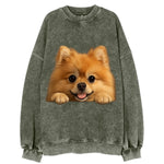 Pomeranian  - Vintage Sweatshirt