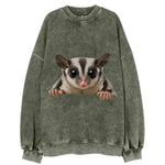 Sugar Glider  - Vintage Sweatshirt