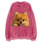 Pomeranian  - Vintage Sweatshirt