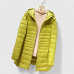 Averlyss | Sophisticated Coat