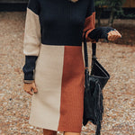 Winter Latte Knit Color Block Mock Neckline Sweater Mini Dress