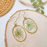 Resin Pressed Flower Earrings - Gold Shell Queen Anne's Lace