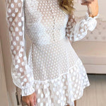 Emerton Polka Dot Lace Sheer Mesh Party Dress