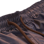 Stormy Iridescent Swim Shorts